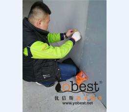 成功案例