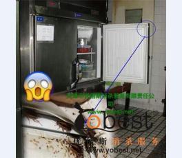 成功案例