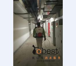 成功案例