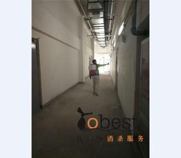 成功案例