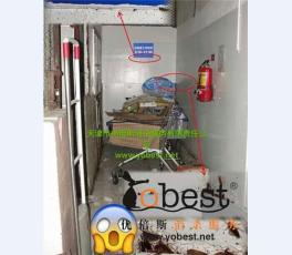 成功案例