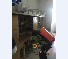 成功案例