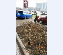 成功案例