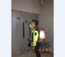 成功案例