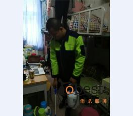 成功案例