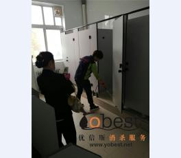 成功案例