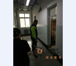 成功案例
