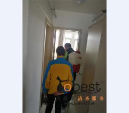 成功案例