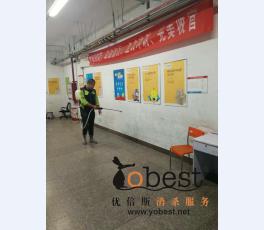 成功案例