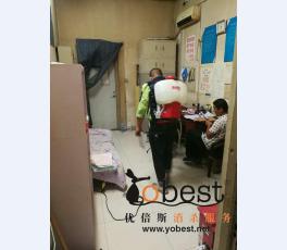 成功案例