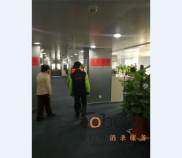 成功案例