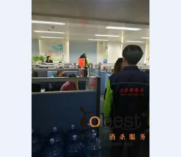 成功案例