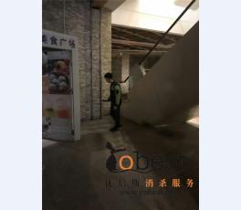 成功案例