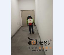 成功案例