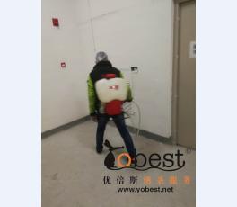 成功案例