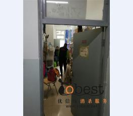 成功案例