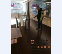 成功案例