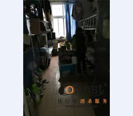 成功案例