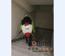 成功案例