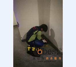 成功案例