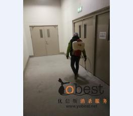成功案例
