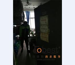 成功案例