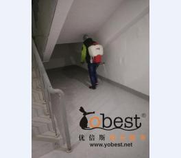 成功案例