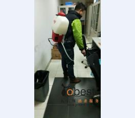 成功案例