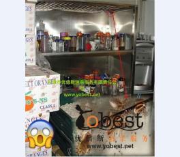 成功案例