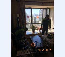 成功案例