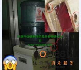 成功案例