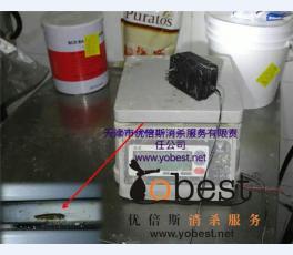 成功案例