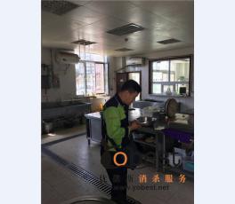 成功案例