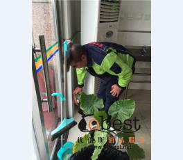 成功案例