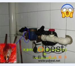 成功案例