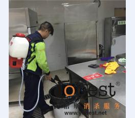 成功案例