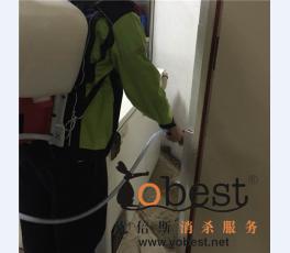 成功案例