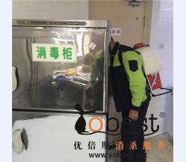 成功案例