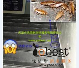 成功案例