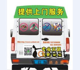 成功案例