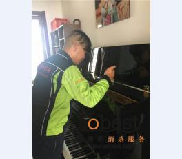 成功案例