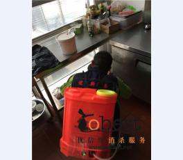 成功案例