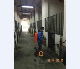 成功案例