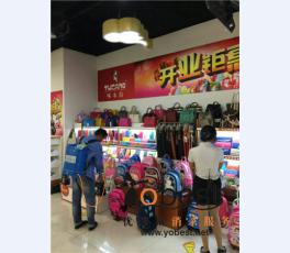 成功案例