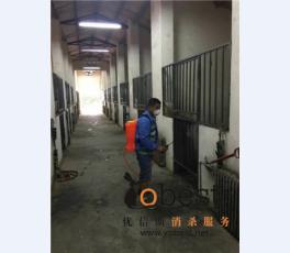 成功案例