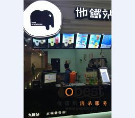成功案例