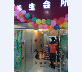 成功案例
