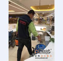 成功案例