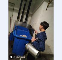 消杀案例展示