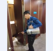 消杀案例展示 (5)
